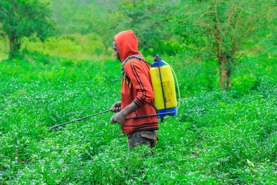 The Art of Spraying Pesticides