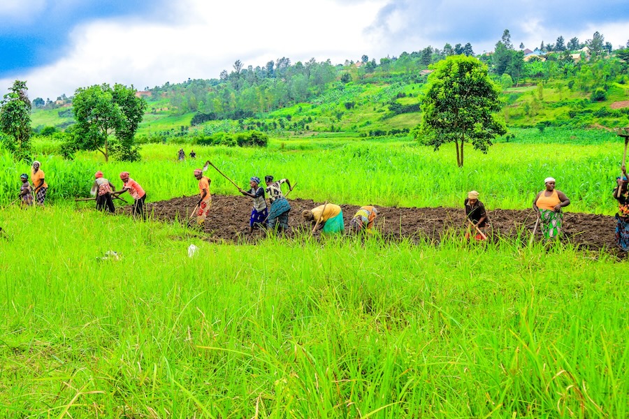 The Importance of Land Preparation in Agriculture